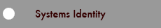 Systems Identity
